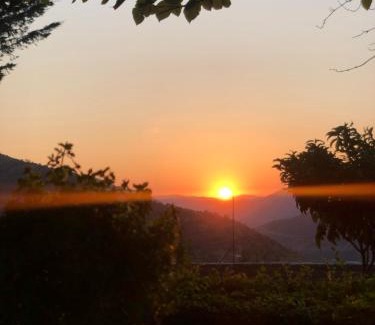 Albania Casa | Guest House Nino's