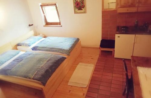 Ljubno ob Savinji Casa | Guest House Turistična kmetija Plaznik