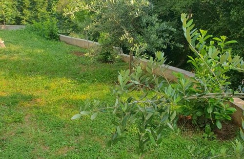 Lapcici Casa | Guest House Vasilije