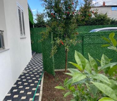Kamez Casa | Guest House White Villa