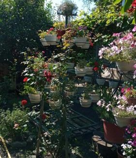 Berehove Casa | Guest House Zhanna