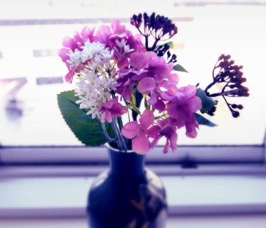 Kamakura Apartamento | Guest room Kamakura Nagomi -Hydrangea-