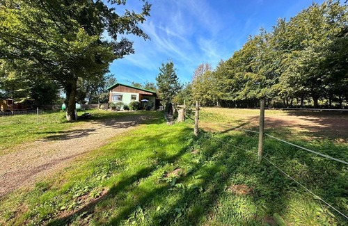 Losheim am See Casa | Guesthouse Anita