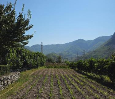 Shkoder County Casa | Guesthouse Camping the peaceful of Koman