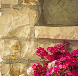 Mikro Chorio Casa | Guesthouse Gonia