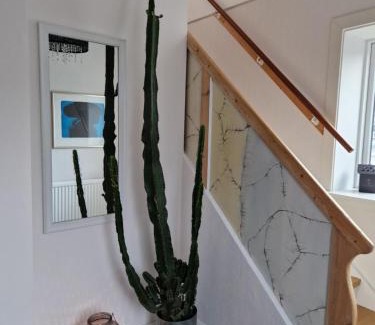 Sorvagur Casa | Guesthouse Hugo