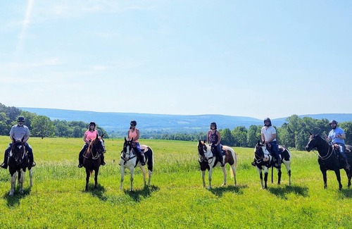 Portage Cabaña | Guesthouse on working horse farm adjacent to Letchworth State Park