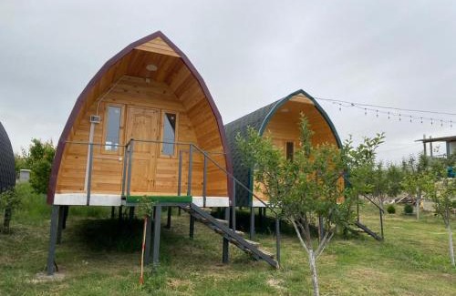 Issyk-Kul Region Casa | Guesthouse Snow Leopard - 'Ak Ilbirs'