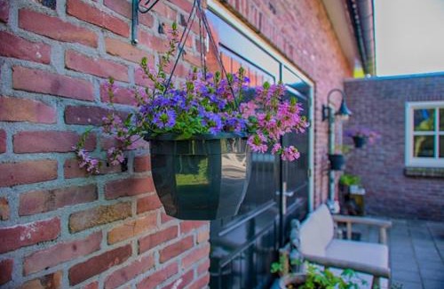 Municipality of Valkenswaard Cama Y Desayuno | Guesthouse Valkenswaard
