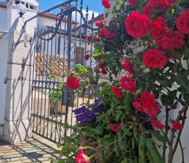 Brsec Casa | Guesthouse Villa Galovic