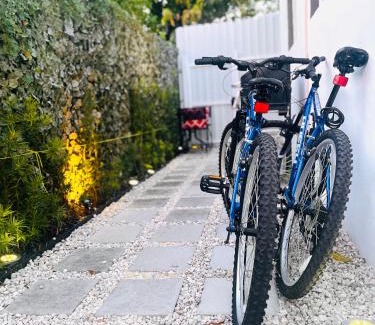 Allapattah Apartamento | Guesthouse w Bikes near Wynwood