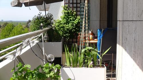 Sachsenhausen-Sud Casa | Guestroom with wide view and pool near city side, 2nd guest with extra bed possible