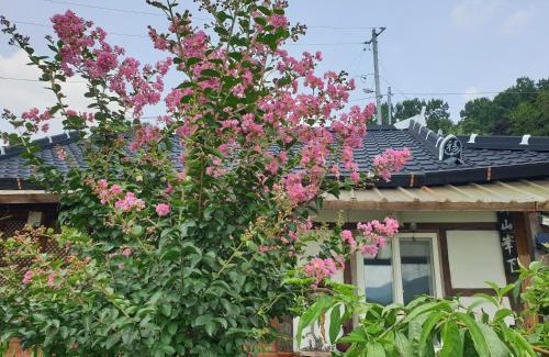 Jeonju Casa | Gugangjae Hanok Stay