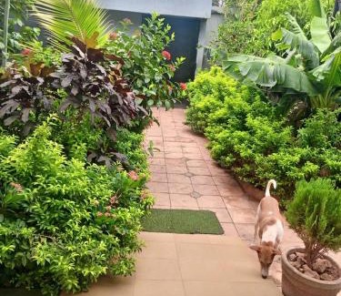Ouagadougou Casa | Guibi