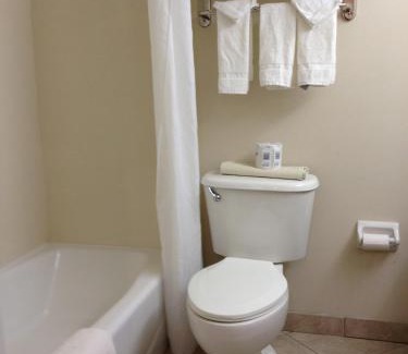 Clearwater Beach Hotel | Gulfview Hotel - On the Beach