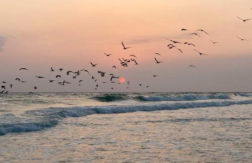 Sarasota Apartamento | Gulfview Lido Key Gem - Walk to Beach and Shops