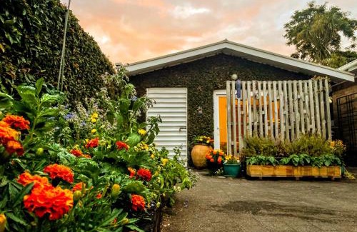 Hamilton North Apartamento | Gully hideaway apartment