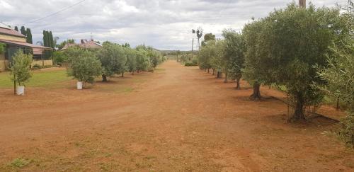 Broken Hill Casa | Gum Paddock Country Cottage