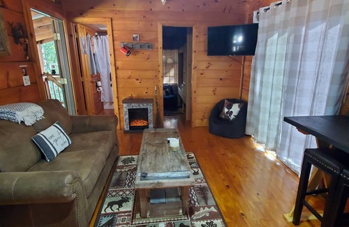 Ellijay Cabina | GUNSMOKE The not so "tiny" cabin with fenced back yard!