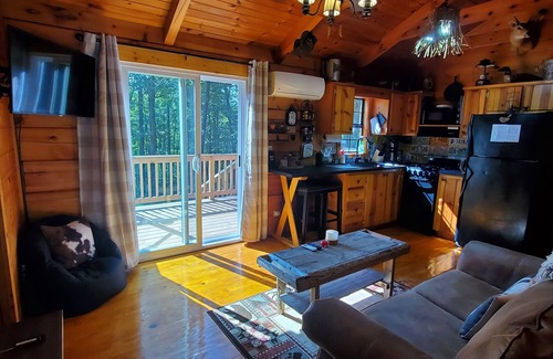 Ellijay Cabina | GUNSMOKE The not so "tiny" cabin with fenced back yard!