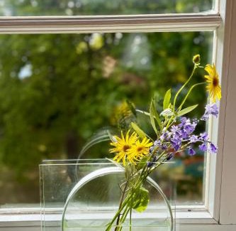 Gingst Apartamento | Gutshaus Haidhof