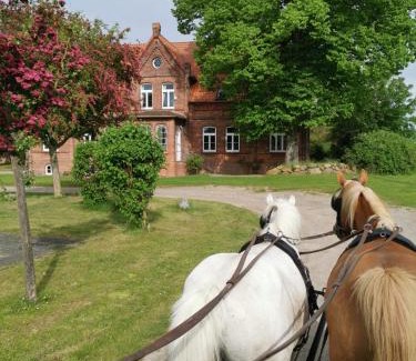 Warnow Apartamento | Gutshaus Thorstorf FeWo Groß Schwansee