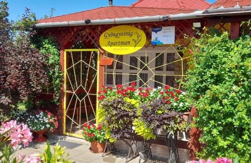 Romhany Apartamento | Gyöngyvirág Apartment