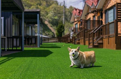 Gyeongju Casa | Gyeongju Helper pet Pension
