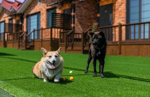 Gyeongju Casa | Gyeongju Helper pet Pension