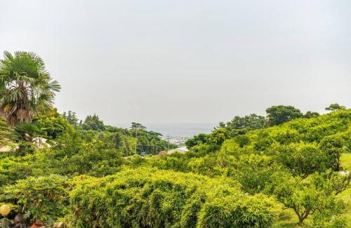 Jungmun Casa | gyulpang stay