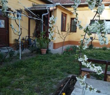 Mezokovacshaza Casa | Hársfák