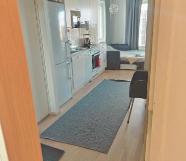 Tampere Apartamento | Härmälän Kotoisa - valoisa yksiö - free parking & wifi