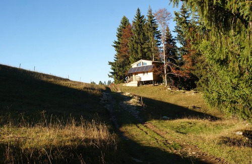 Bellecombe Cama Y Desayuno | Hébergement Insolite , Cabane Autonome Perchée Dans la Végétation