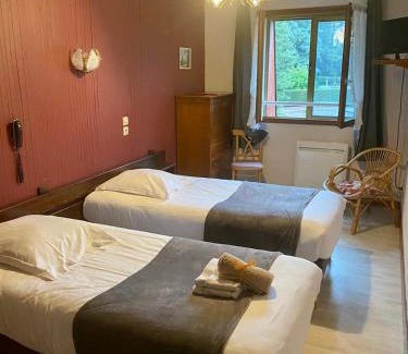 Aix-les-Bains City Center Hotel | Hôtel des Alpes