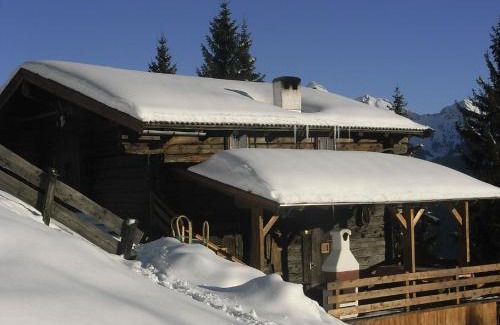 Alpbach Casa | Hütte - Ferienhaus Bischoferhütte für 2-10 Personen