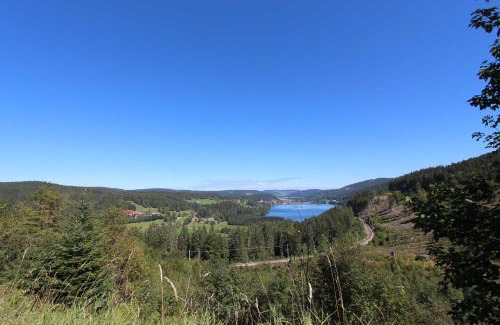 Feldberg Apartamento | H&P Touristik Residenz Grafenmatt GRA-2-2