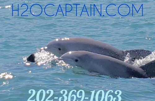 Atlantic Beach Alquiler De Eote | H2O Captain Eco-Tour Private Boat Excursions