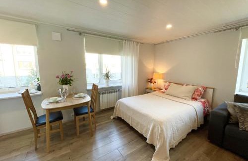 Haapsalu Apartamento | Haapsalu, Tallinna maantee