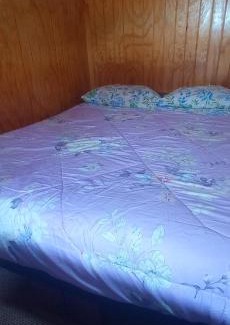 Mafil Casa | Habitación en el bosque