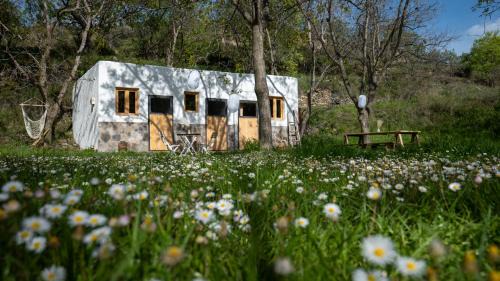 Laujar de Andarax Casa | Habitación en Granja Ecológica