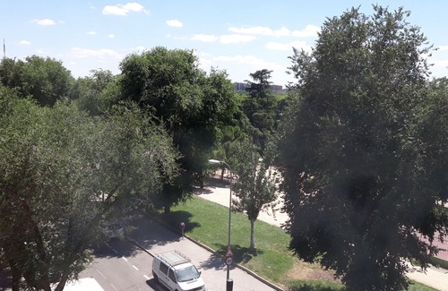 Pueblo Nuevo Apartamento | Habitación para 1 persona,con opción para 2