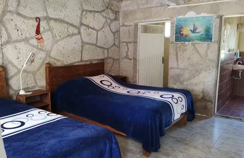 Huasca de Ocampo Cama Y Desayuno | Habitación Patos