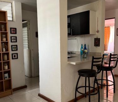 San Pedro Tlaquepaque Casa | Habitacion comoda en departamento planta baja