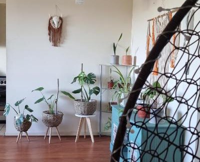 Chillan Casa | Habitación don jorge