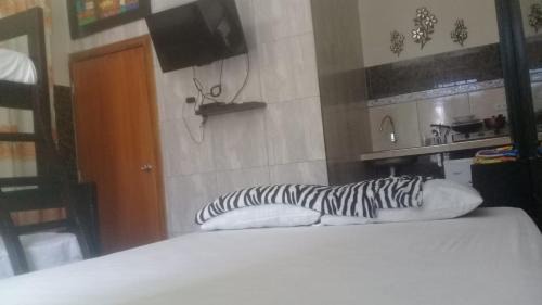 Salinas Apartamento | Habitacion Vacacional Camboriu