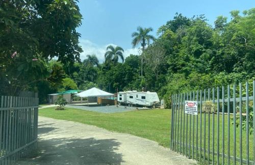 Cruces Otro | Hacienda Abuelo Hino