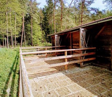 Heiligenkreuz im Lafnitztal Cama Y Desayuno | Hacienda del Piero