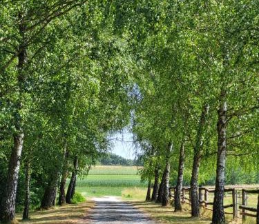 Heiligenkreuz im Lafnitztal Cama Y Desayuno | Hacienda del Piero