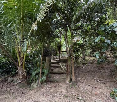 Arenas Casa | Hacienda Esmeralda Private Access To River
