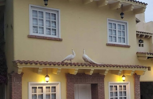 Pueblo Viejo Casa | Hacienda Girasoles Tampico